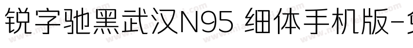 锐字驰黑武汉N95 细体手机版字体转换